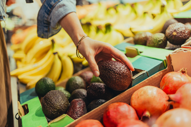 Avocats frais dans le rayon d'un magasin