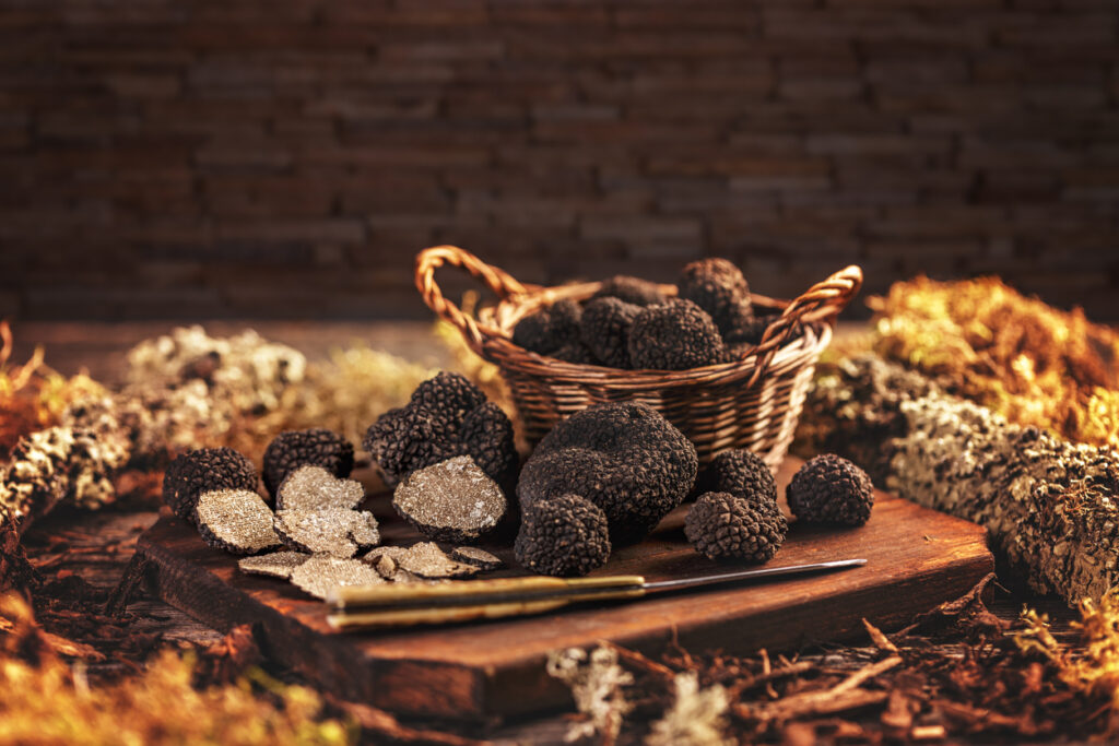 Truffes noires fraiches